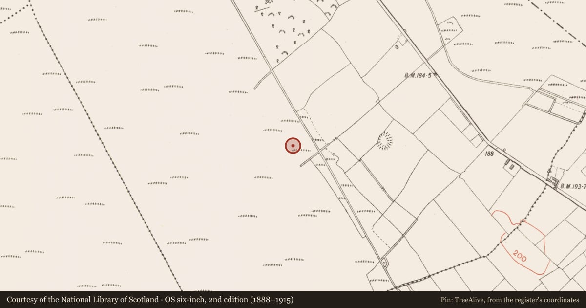 Ordnance Survey six-inch map, 2nd edition (1888–1915) covering the location of Road - class 1 togher, Derraghan More, Derrygowna, County Longford, with a pin at the register's coordinates