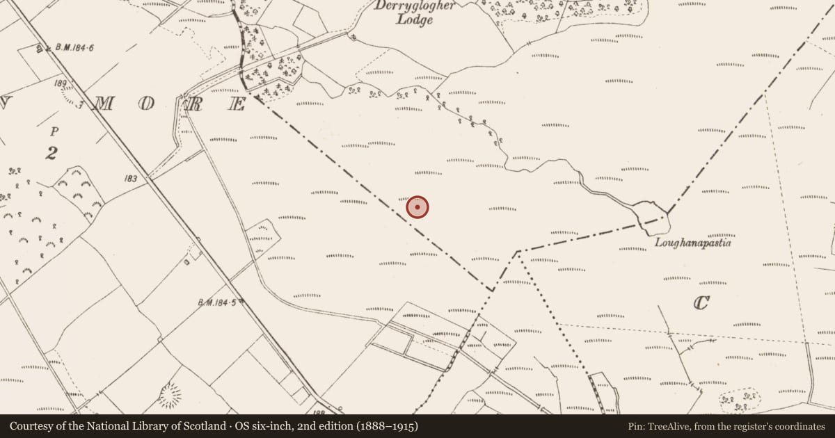 Ordnance Survey six-inch map, 2nd edition (1888–1915) covering the location of Road - class 2 togher, Derryglogher, County Longford, with a pin at the register's coordinates