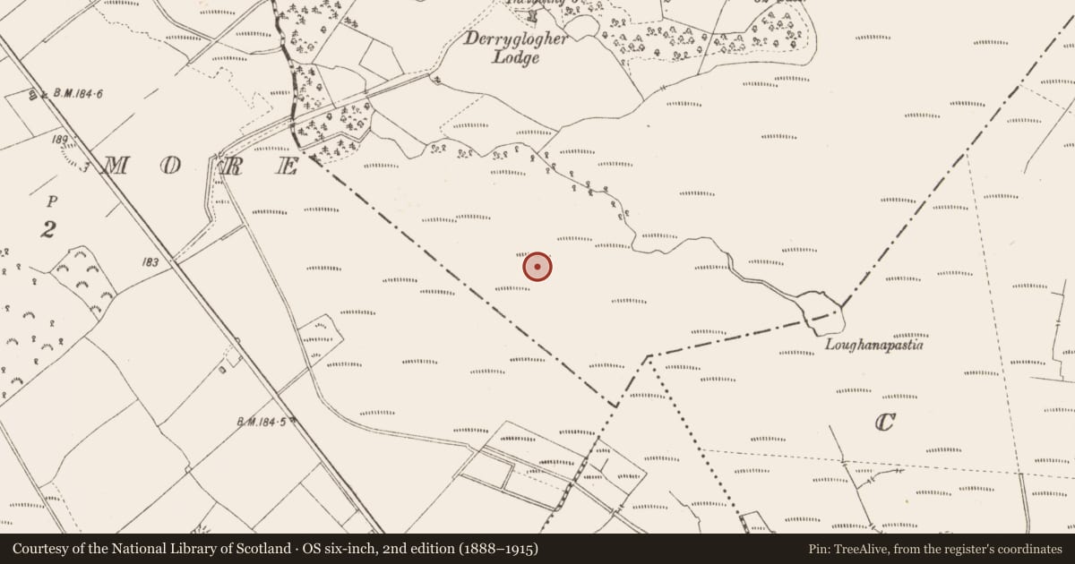 Ordnance Survey six-inch map, 2nd edition (1888–1915) covering the location of Road - class 3 togher, Derryglogher, County Longford, with a pin at the register's coordinates