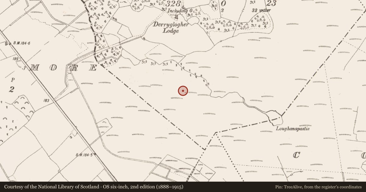 Ordnance Survey six-inch map, 2nd edition (1888–1915) covering the location of Road - class 3 togher, Derryglogher, County Longford, with a pin at the register's coordinates