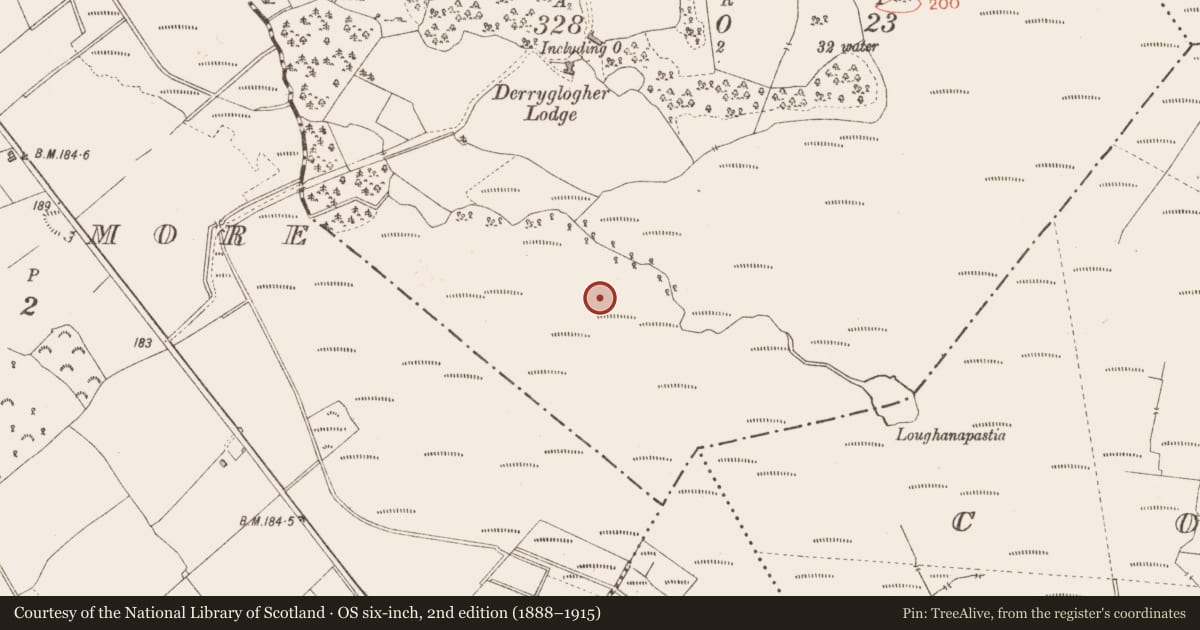 Ordnance Survey six-inch map, 2nd edition (1888–1915) covering the location of Road - class 3 togher, Derryglogher, County Longford, with a pin at the register's coordinates