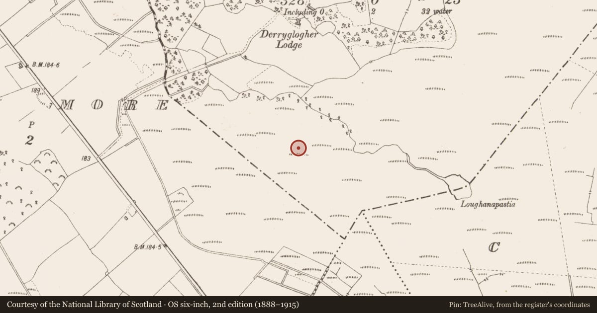 Ordnance Survey six-inch map, 2nd edition (1888–1915) covering the location of Road - class 3 togher, Derryglogher, County Longford, with a pin at the register's coordinates