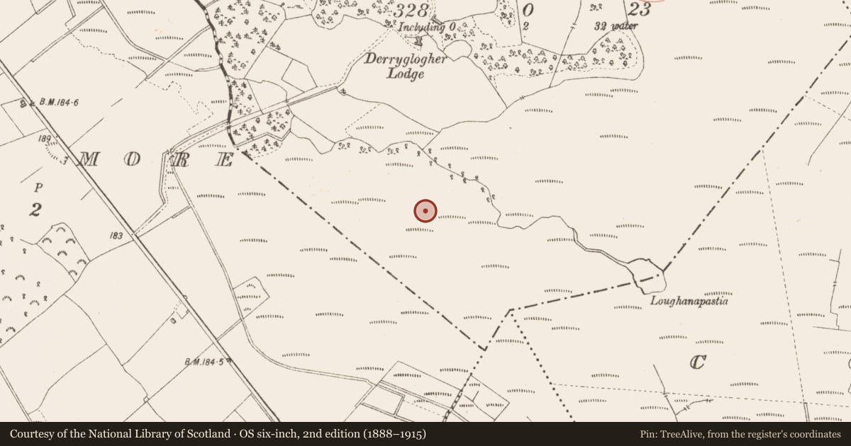 Ordnance Survey six-inch map, 2nd edition (1888–1915) covering the location of Road - class 3 togher, Derryglogher, County Longford, with a pin at the register's coordinates