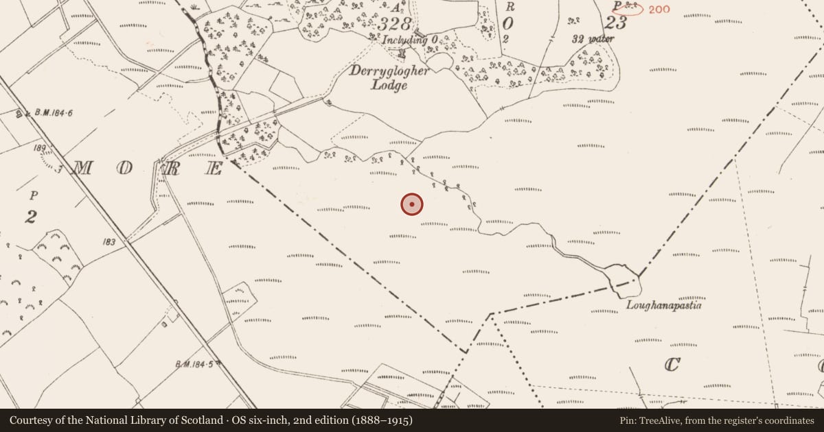 Ordnance Survey six-inch map, 2nd edition (1888–1915) covering the location of Road - class 3 togher, Derryglogher, County Longford, with a pin at the register's coordinates