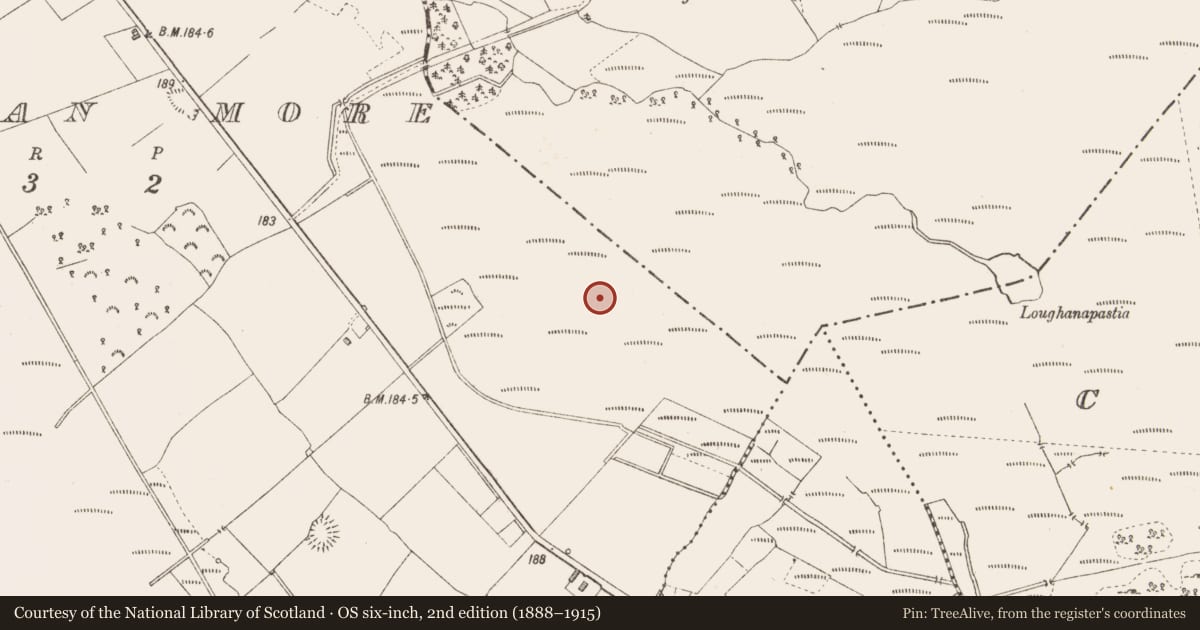 Ordnance Survey six-inch map, 2nd edition (1888–1915) covering the location of Road - class 3 togher, Derraghan More, County Longford, with a pin at the register's coordinates