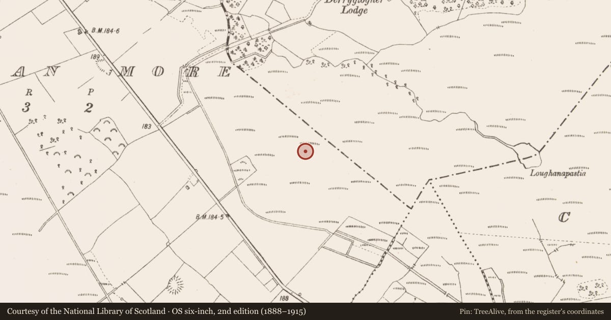 Ordnance Survey six-inch map, 2nd edition (1888–1915) covering the location of Road - class 3 togher, Derraghan More, County Longford, with a pin at the register's coordinates