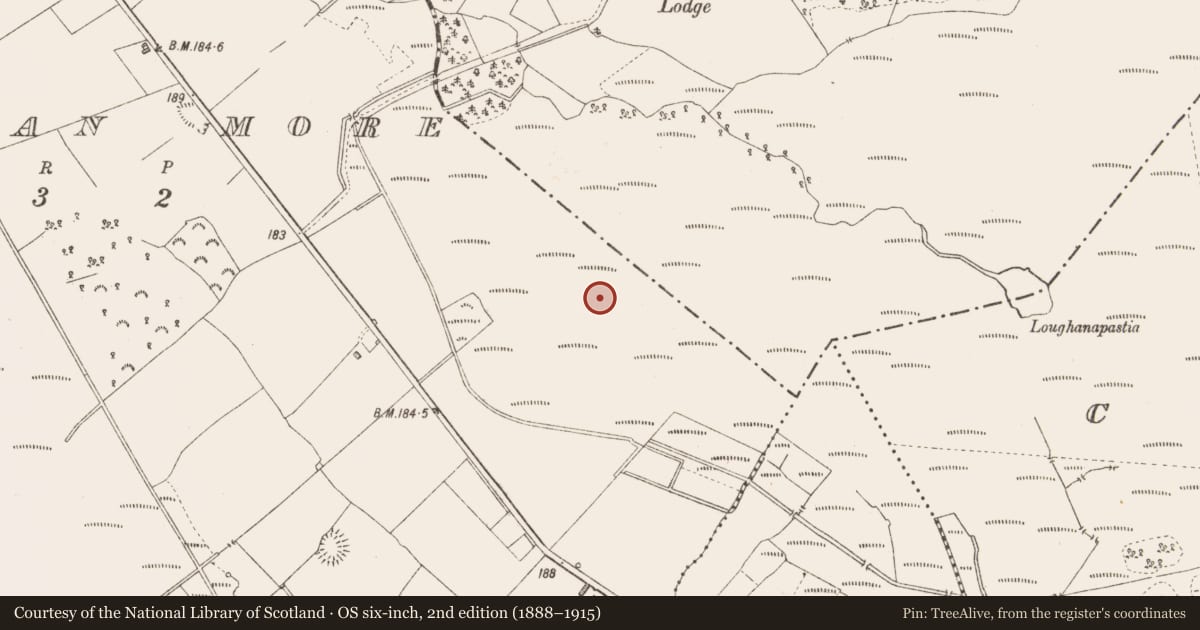 Ordnance Survey six-inch map, 2nd edition (1888–1915) covering the location of Structure - peatland, Derraghan More, County Longford, with a pin at the register's coordinates