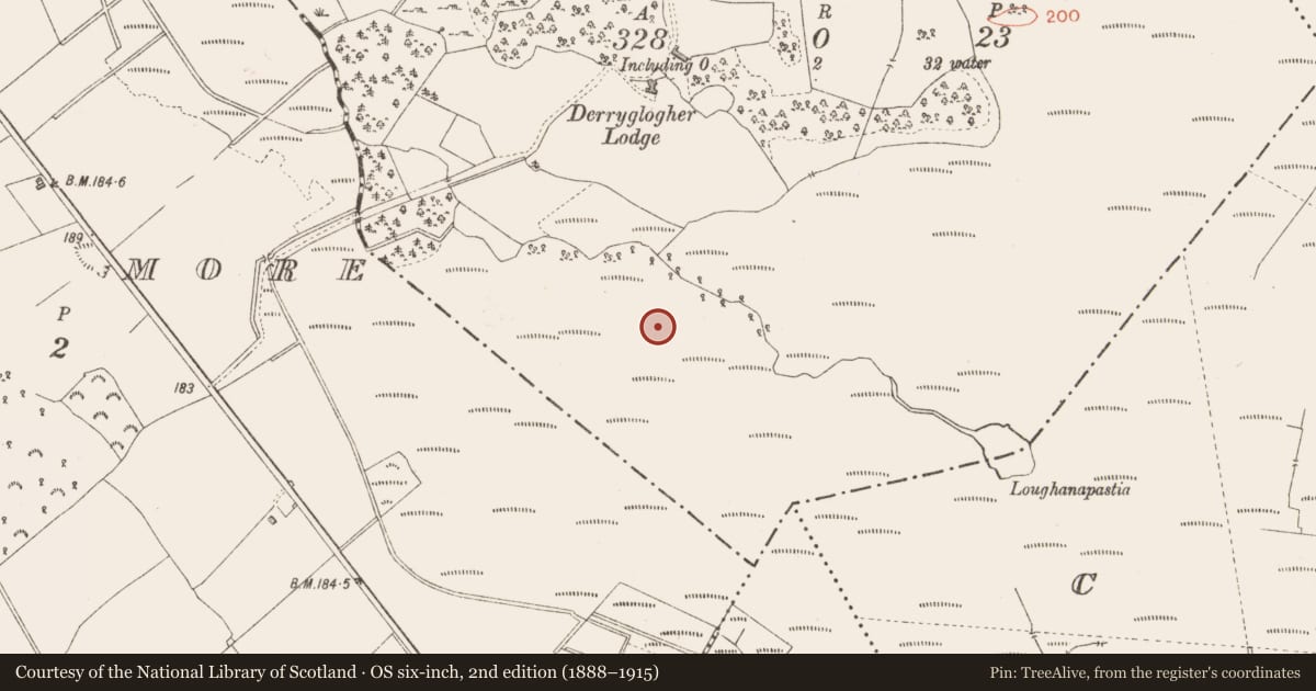 Ordnance Survey six-inch map, 2nd edition (1888–1915) covering the location of Road - class 3 togher, Derryglogher, County Longford, with a pin at the register's coordinates