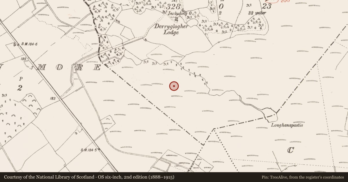 Ordnance Survey six-inch map, 2nd edition (1888–1915) covering the location of Road - class 3 togher, Derryglogher, County Longford, with a pin at the register's coordinates