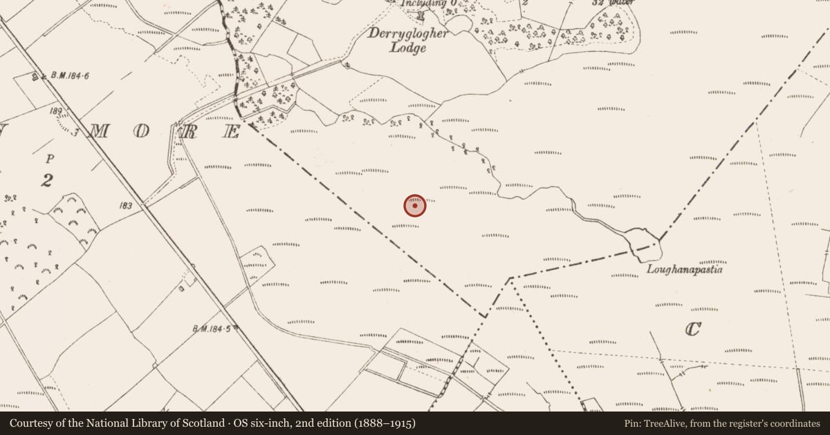 Ordnance Survey six-inch map, 2nd edition (1888–1915) covering the location of Road - class 3 togher, Derryglogher, County Longford, with a pin at the register's coordinates