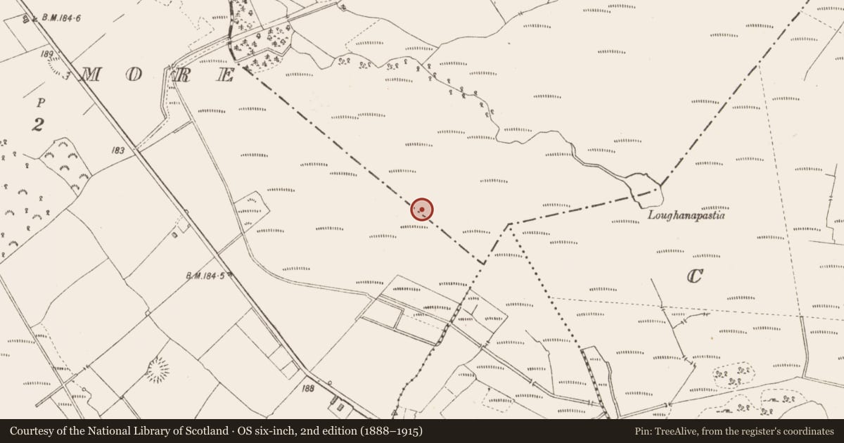 Ordnance Survey six-inch map, 2nd edition (1888–1915) covering the location of Road - class 3 togher, Derryglogher, County Longford, with a pin at the register's coordinates