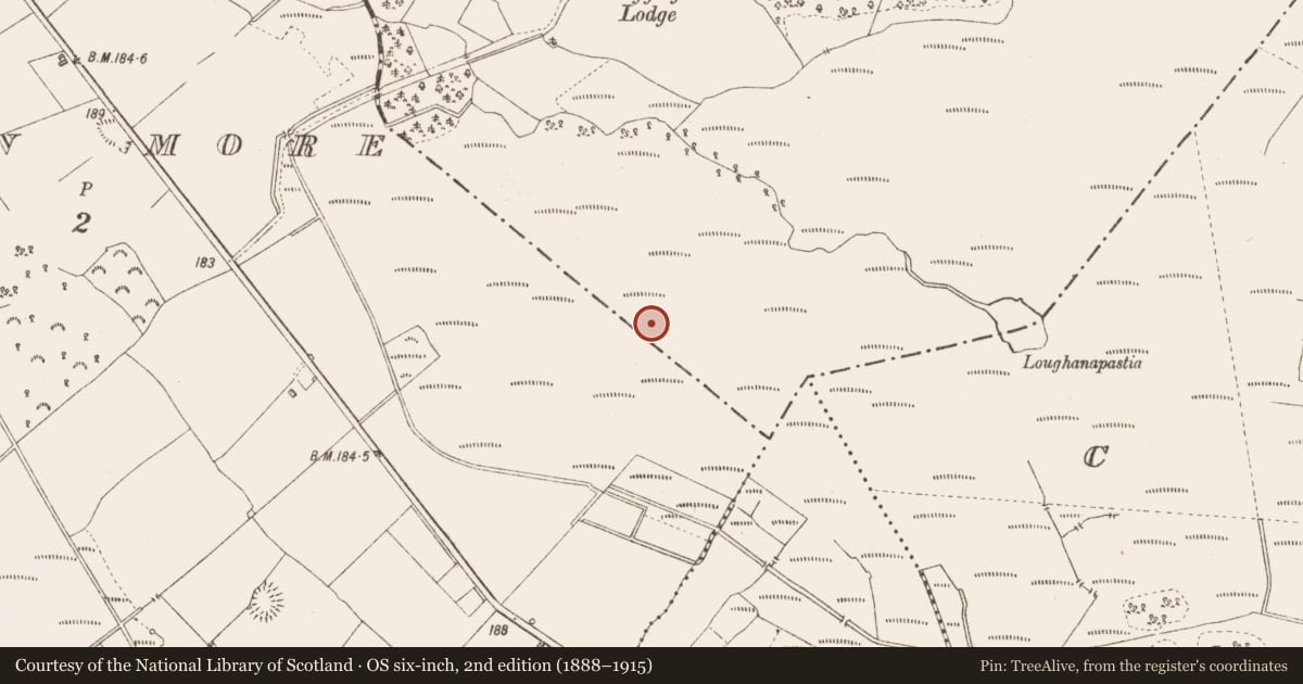 Ordnance Survey six-inch map, 2nd edition (1888–1915) covering the location of Road - class 3 togher, Derryglogher, County Longford, with a pin at the register's coordinates