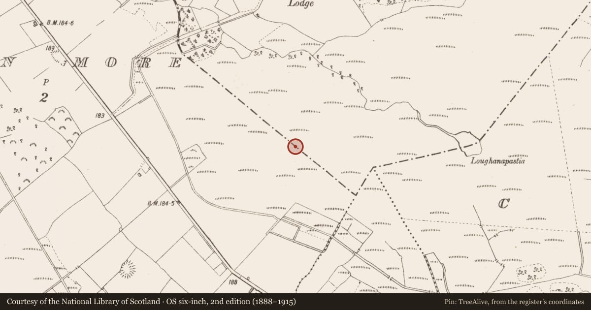 Ordnance Survey six-inch map, 2nd edition (1888–1915) covering the location of Road - class 3 togher, Derryglogher, County Longford, with a pin at the register's coordinates