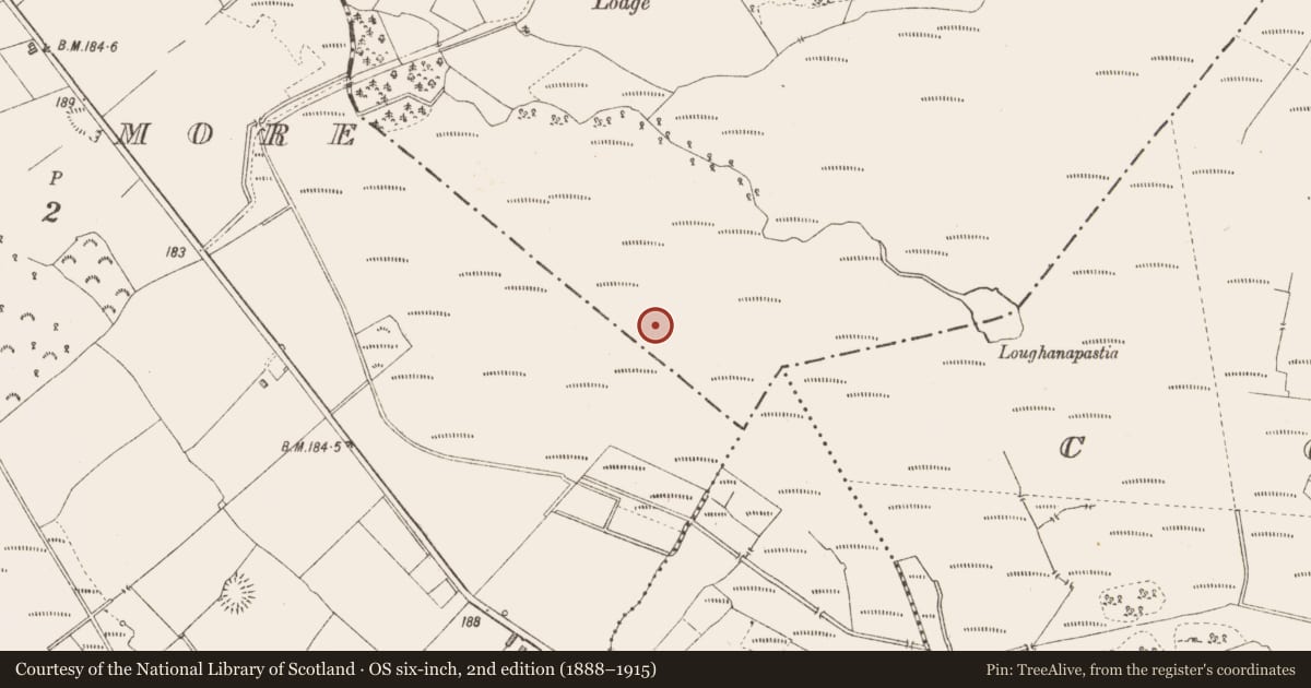 Ordnance Survey six-inch map, 2nd edition (1888–1915) covering the location of Road - class 3 togher, Derryglogher, County Longford, with a pin at the register's coordinates