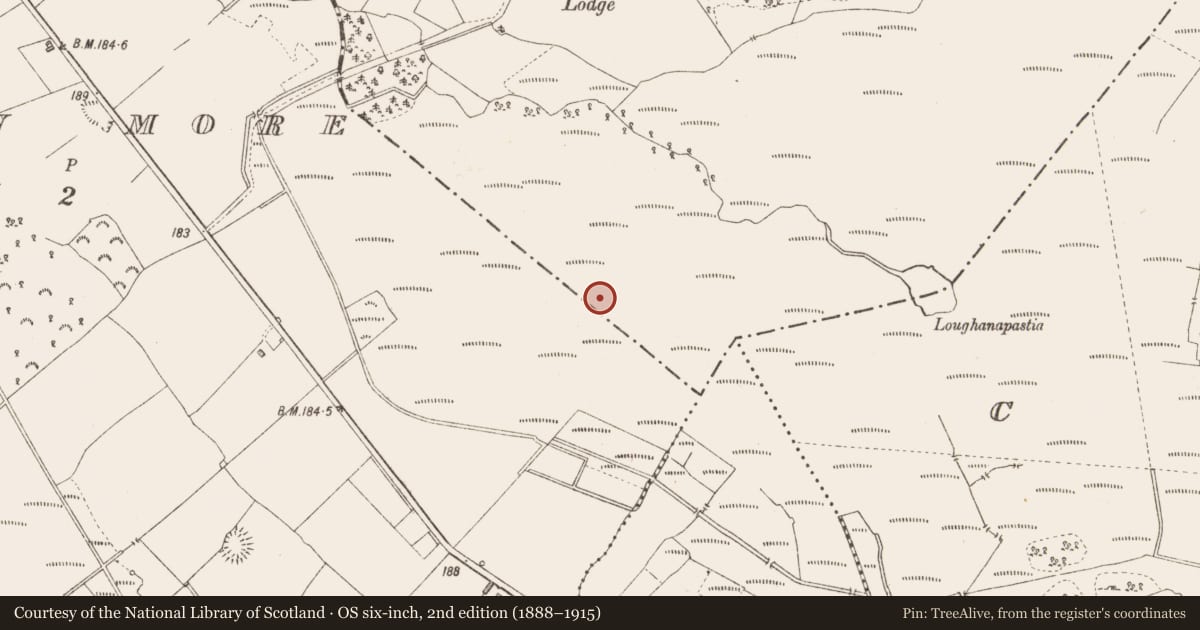 Ordnance Survey six-inch map, 2nd edition (1888–1915) covering the location of Road - class 3 togher, Derryglogher, County Longford, with a pin at the register's coordinates