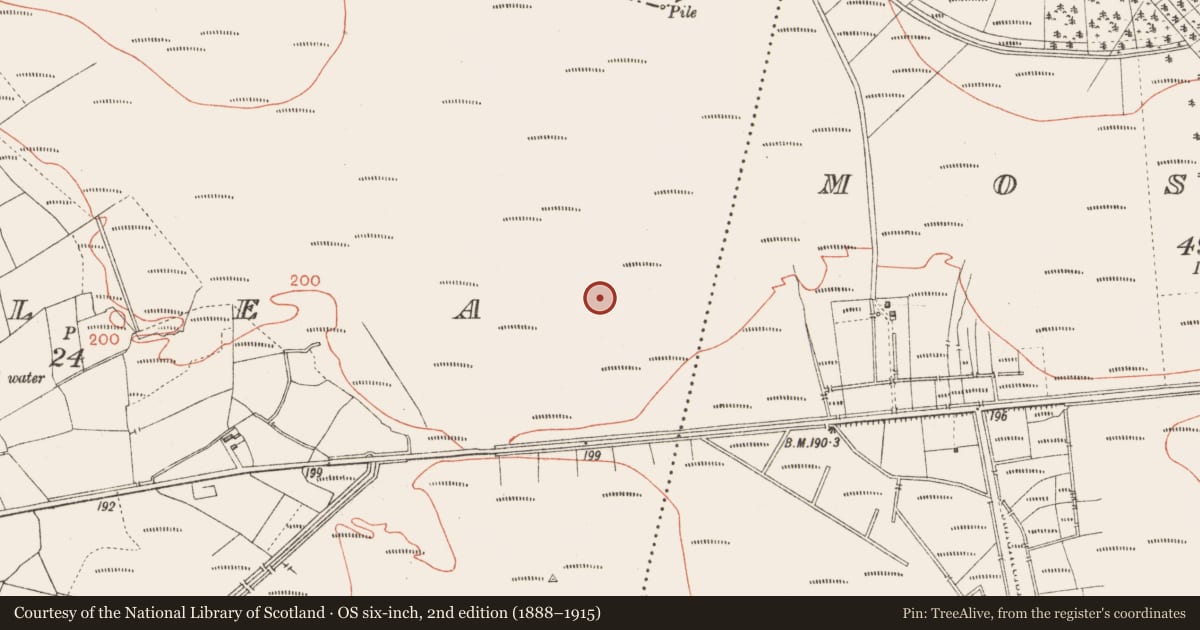 Ordnance Survey six-inch map, 2nd edition (1888–1915) covering the location of Road - class 3 togher, Corlea, County Longford, with a pin at the register's coordinates