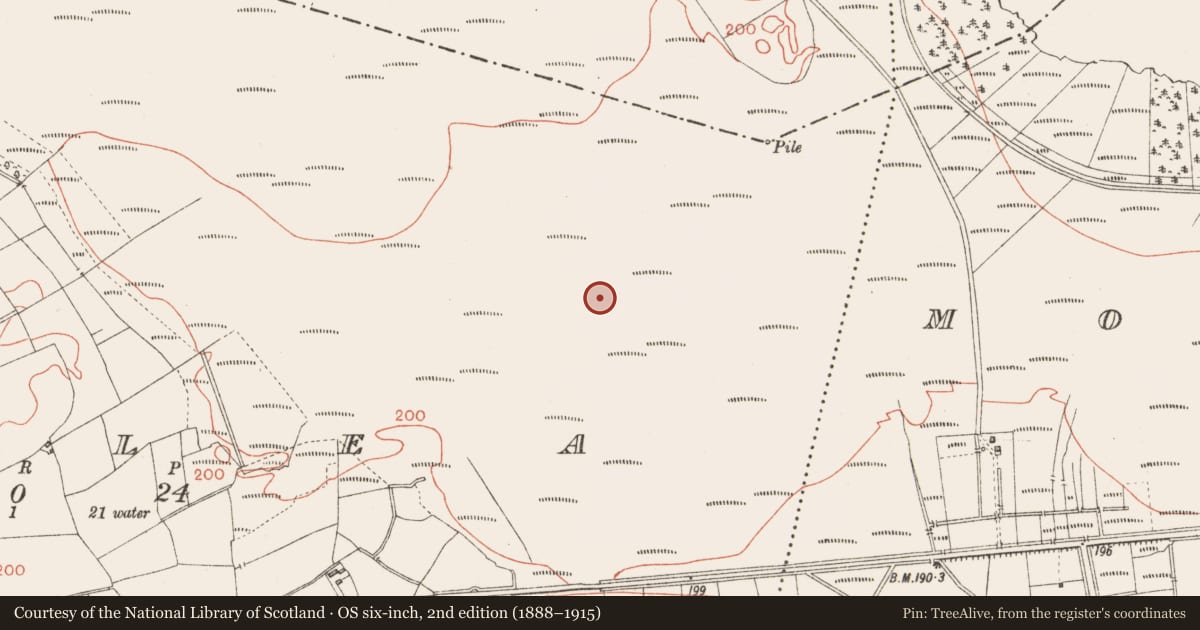 Ordnance Survey six-inch map, 2nd edition (1888–1915) covering the location of Road - class 1 togher, Corlea, County Longford, with a pin at the register's coordinates