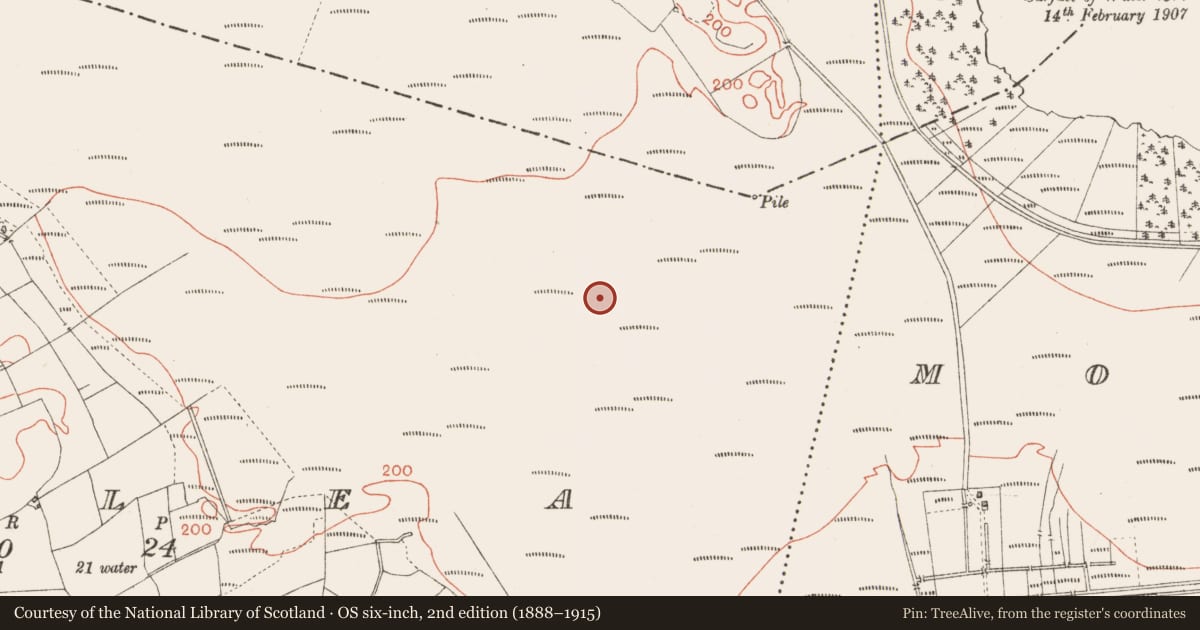 Ordnance Survey six-inch map, 2nd edition (1888–1915) covering the location of Road - class 3 togher, Corlea, County Longford, with a pin at the register's coordinates