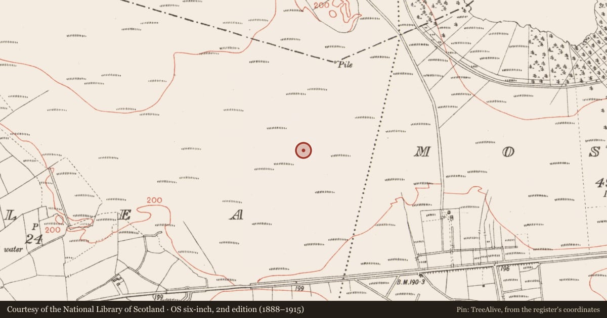 Ordnance Survey six-inch map, 2nd edition (1888–1915) covering the location of Road - class 1 togher, Corlea, County Longford, with a pin at the register's coordinates