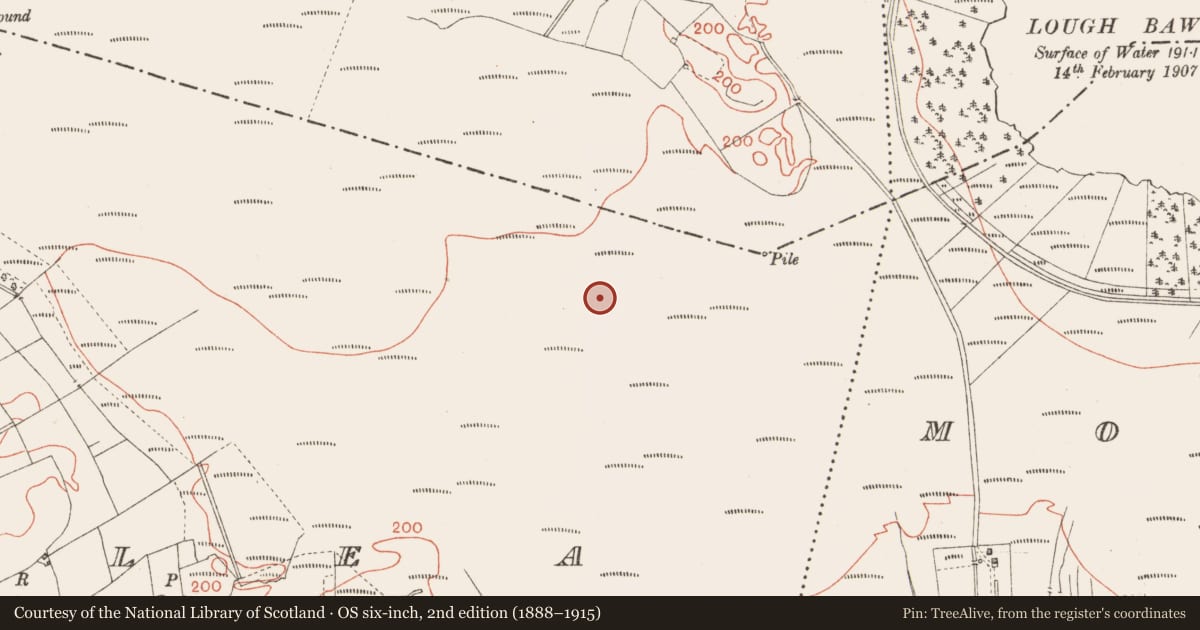 Ordnance Survey six-inch map, 2nd edition (1888–1915) covering the location of Road - class 3 togher, Corlea, County Longford, with a pin at the register's coordinates