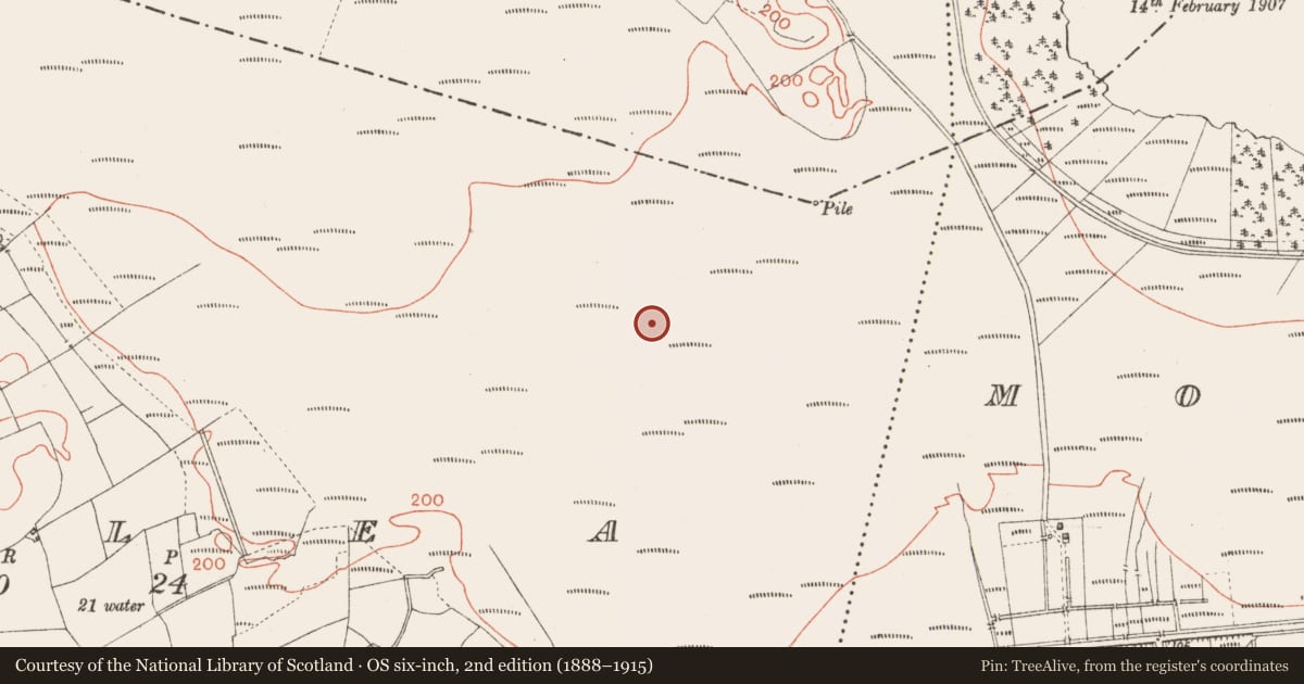 Ordnance Survey six-inch map, 2nd edition (1888–1915) covering the location of Road - class 3 togher, Corlea, County Longford, with a pin at the register's coordinates