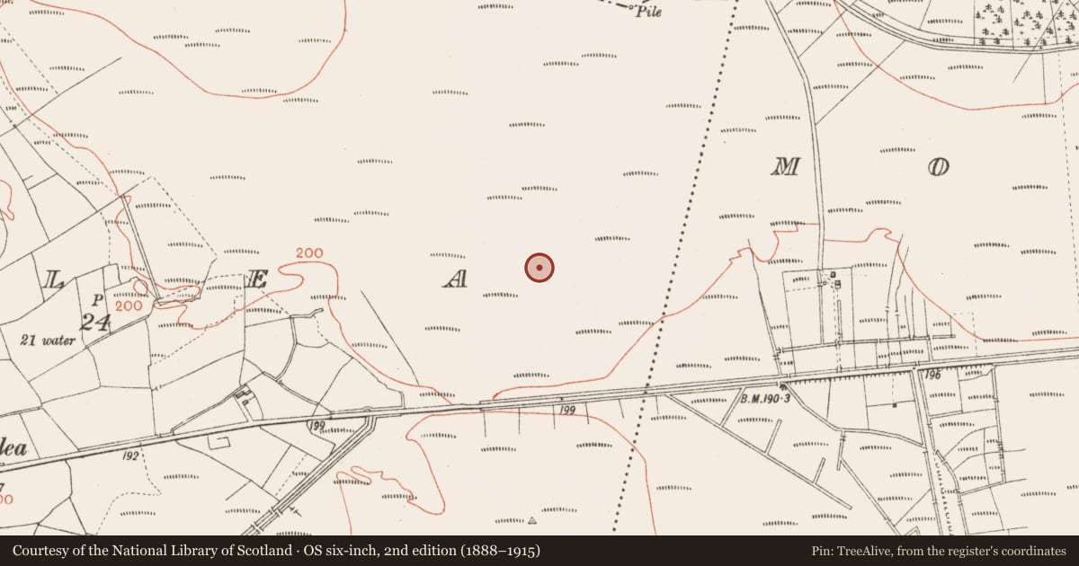 Ordnance Survey six-inch map, 2nd edition (1888–1915) covering the location of Road - class 3 togher, Corlea, County Longford, with a pin at the register's coordinates
