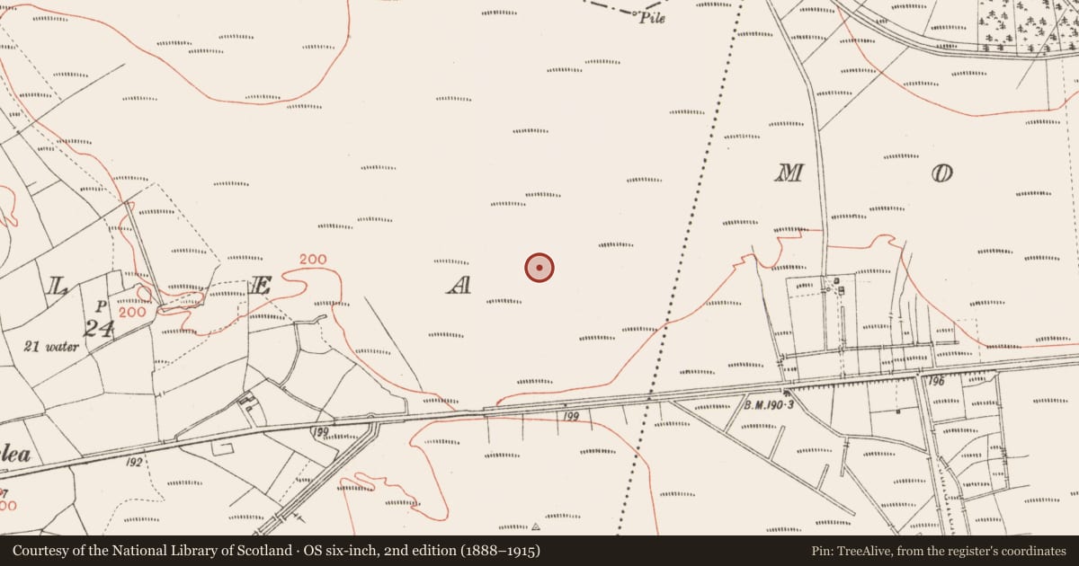Ordnance Survey six-inch map, 2nd edition (1888–1915) covering the location of Road - class 3 togher, Corlea, County Longford, with a pin at the register's coordinates