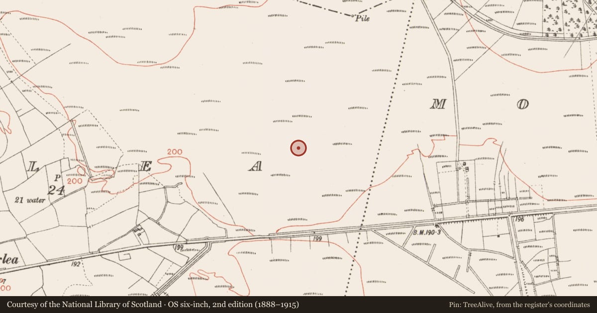 Ordnance Survey six-inch map, 2nd edition (1888–1915) covering the location of Road - class 3 togher, Corlea, County Longford, with a pin at the register's coordinates