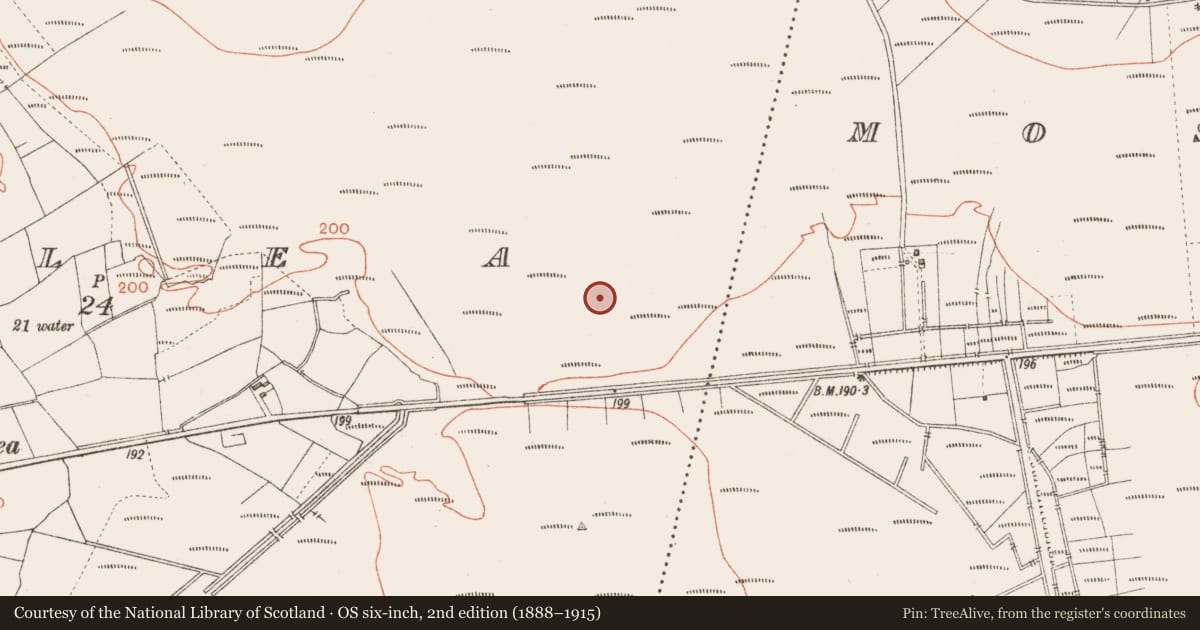 Ordnance Survey six-inch map, 2nd edition (1888–1915) covering the location of Road - class 3 togher, Corlea, County Longford, with a pin at the register's coordinates