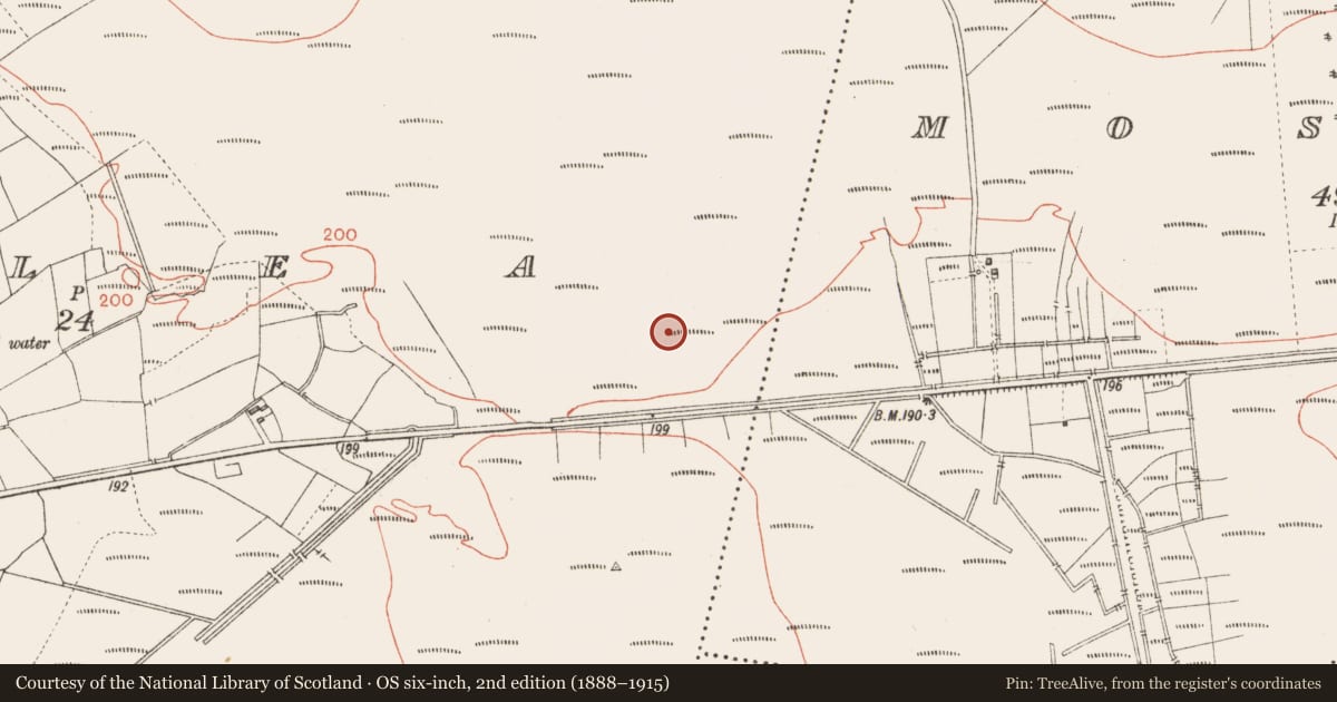 Ordnance Survey six-inch map, 2nd edition (1888–1915) covering the location of Road - class 3 togher, Corlea, County Longford, with a pin at the register's coordinates