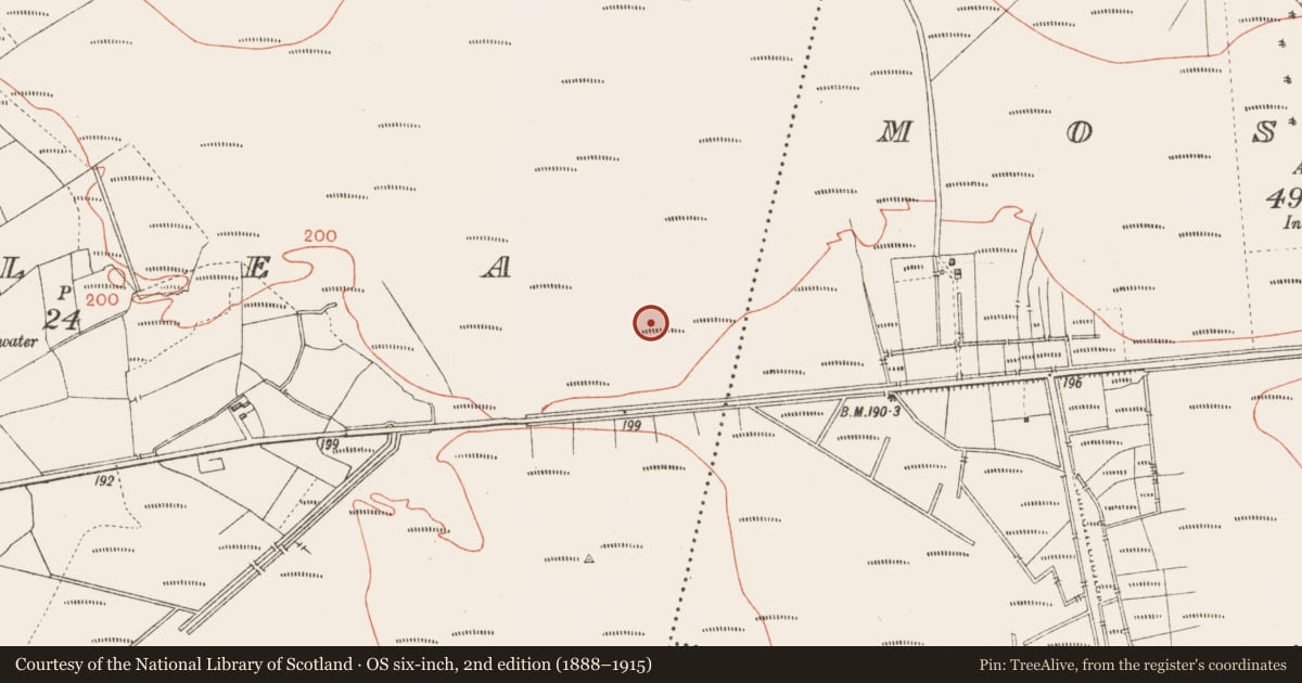Ordnance Survey six-inch map, 2nd edition (1888–1915) covering the location of Road - class 3 togher, Corlea, County Longford, with a pin at the register's coordinates