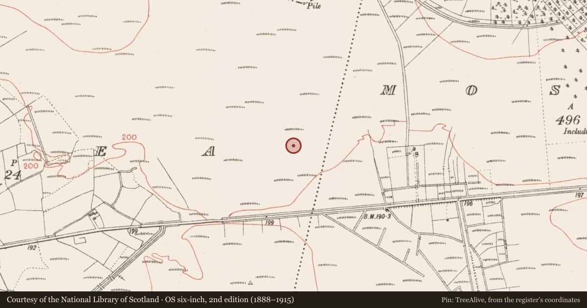 Ordnance Survey six-inch map, 2nd edition (1888–1915) covering the location of Road - class 2 togher, Corlea, County Longford, with a pin at the register's coordinates