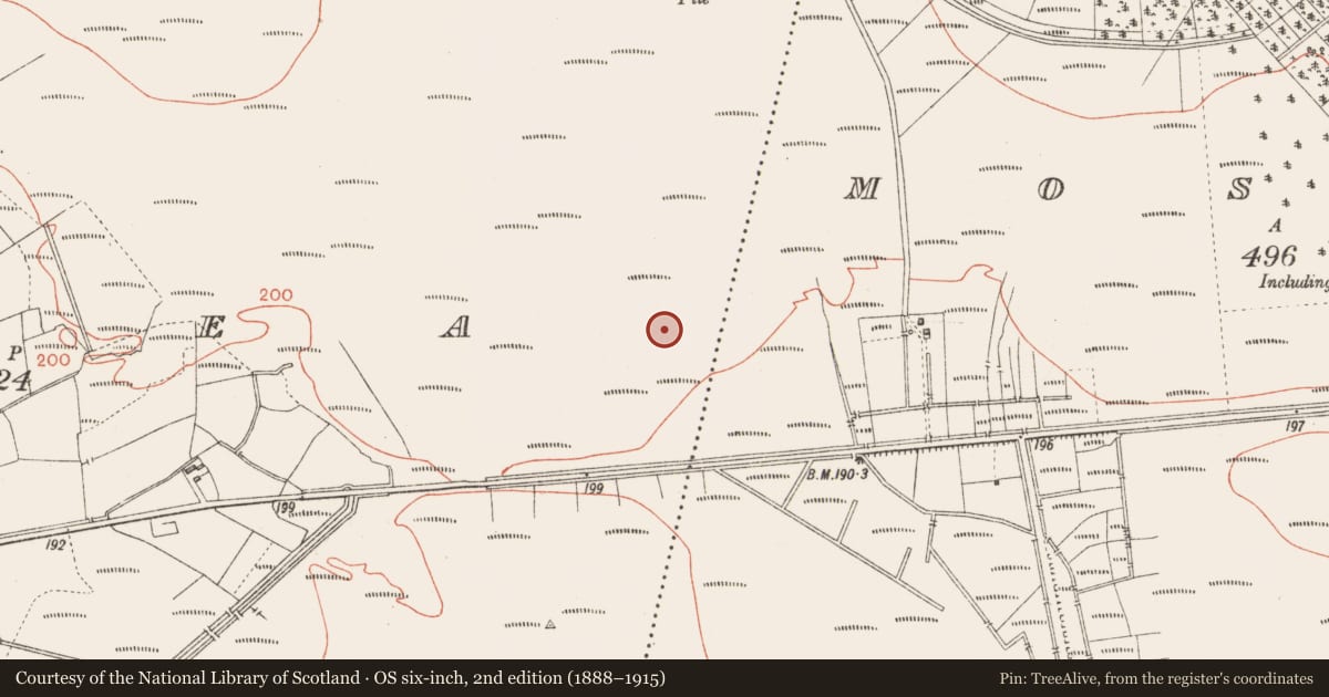 Ordnance Survey six-inch map, 2nd edition (1888–1915) covering the location of Road - class 3 togher, Corlea, County Longford, with a pin at the register's coordinates