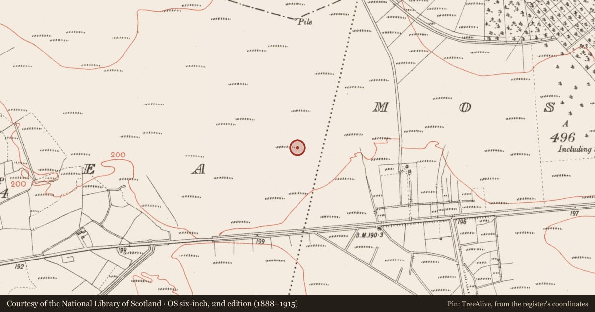Ordnance Survey six-inch map, 2nd edition (1888–1915) covering the location of Road - class 3 togher, Corlea, County Longford, with a pin at the register's coordinates