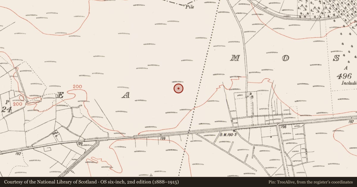 Ordnance Survey six-inch map, 2nd edition (1888–1915) covering the location of Road - class 3 togher, Corlea, County Longford, with a pin at the register's coordinates