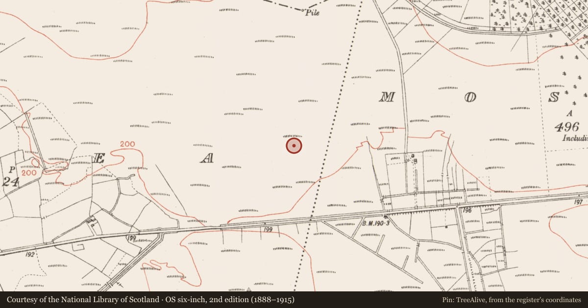 Ordnance Survey six-inch map, 2nd edition (1888–1915) covering the location of Road - class 3 togher, Corlea, County Longford, with a pin at the register's coordinates