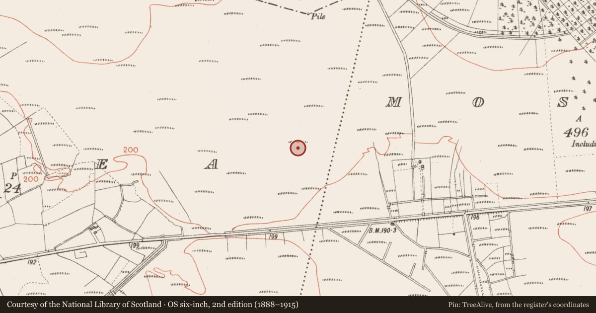 Ordnance Survey six-inch map, 2nd edition (1888–1915) covering the location of Road - class 3 togher, Corlea, County Longford, with a pin at the register's coordinates