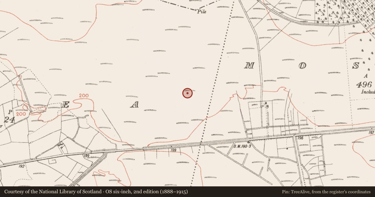 Ordnance Survey six-inch map, 2nd edition (1888–1915) covering the location of Road - class 2 togher, Corlea, County Longford, with a pin at the register's coordinates