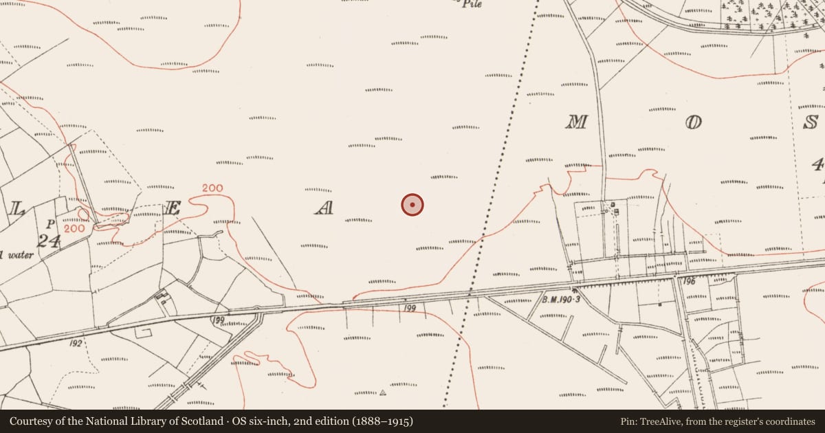 Ordnance Survey six-inch map, 2nd edition (1888–1915) covering the location of Road - class 3 togher, Corlea, County Longford, with a pin at the register's coordinates