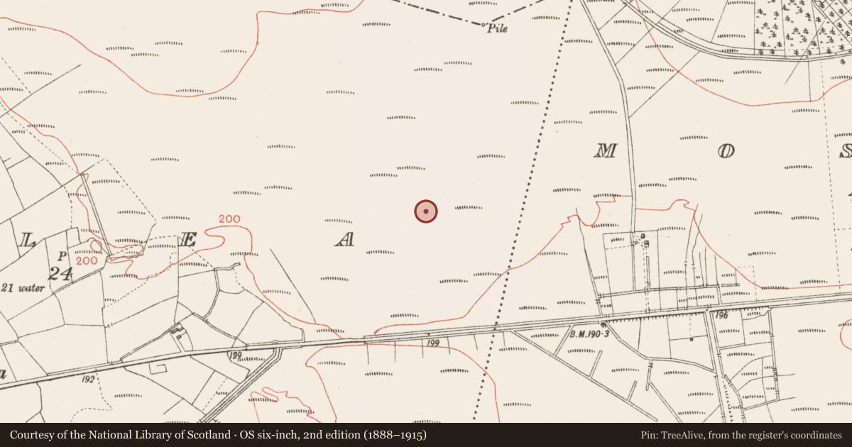 Ordnance Survey six-inch map, 2nd edition (1888–1915) covering the location of Road - class 3 togher, Corlea, County Longford, with a pin at the register's coordinates