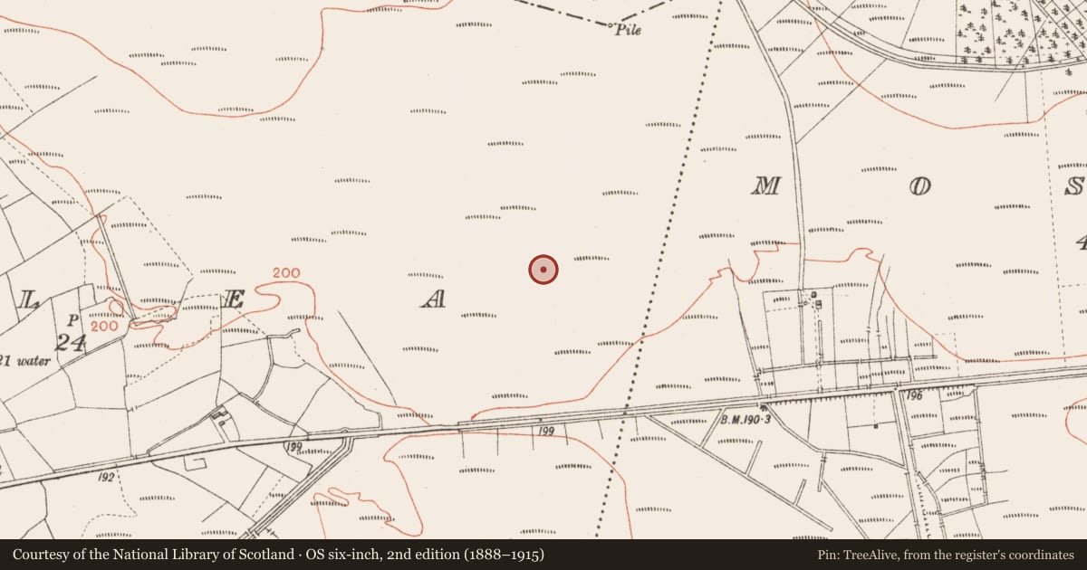Ordnance Survey six-inch map, 2nd edition (1888–1915) covering the location of Road - class 3 togher, Corlea, County Longford, with a pin at the register's coordinates