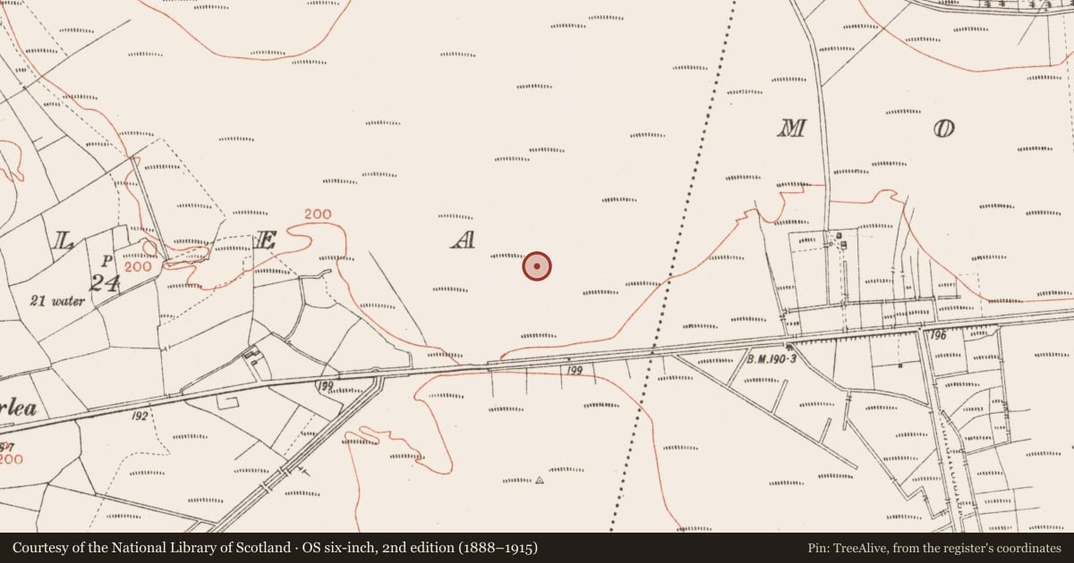 Ordnance Survey six-inch map, 2nd edition (1888–1915) covering the location of Road - class 3 togher, Corlea, County Longford, with a pin at the register's coordinates