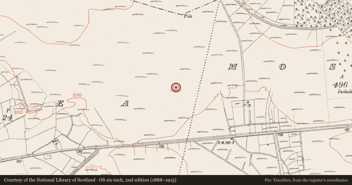 Ordnance Survey six-inch map, 2nd edition (1888–1915) covering the location of Road - class 3 togher, Corlea, County Longford, with a pin at the register's coordinates