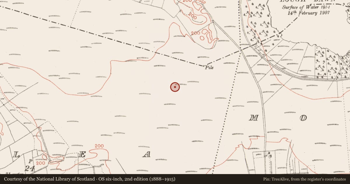 Ordnance Survey six-inch map, 2nd edition (1888–1915) covering the location of Road - class 3 togher, Corlea, County Longford, with a pin at the register's coordinates