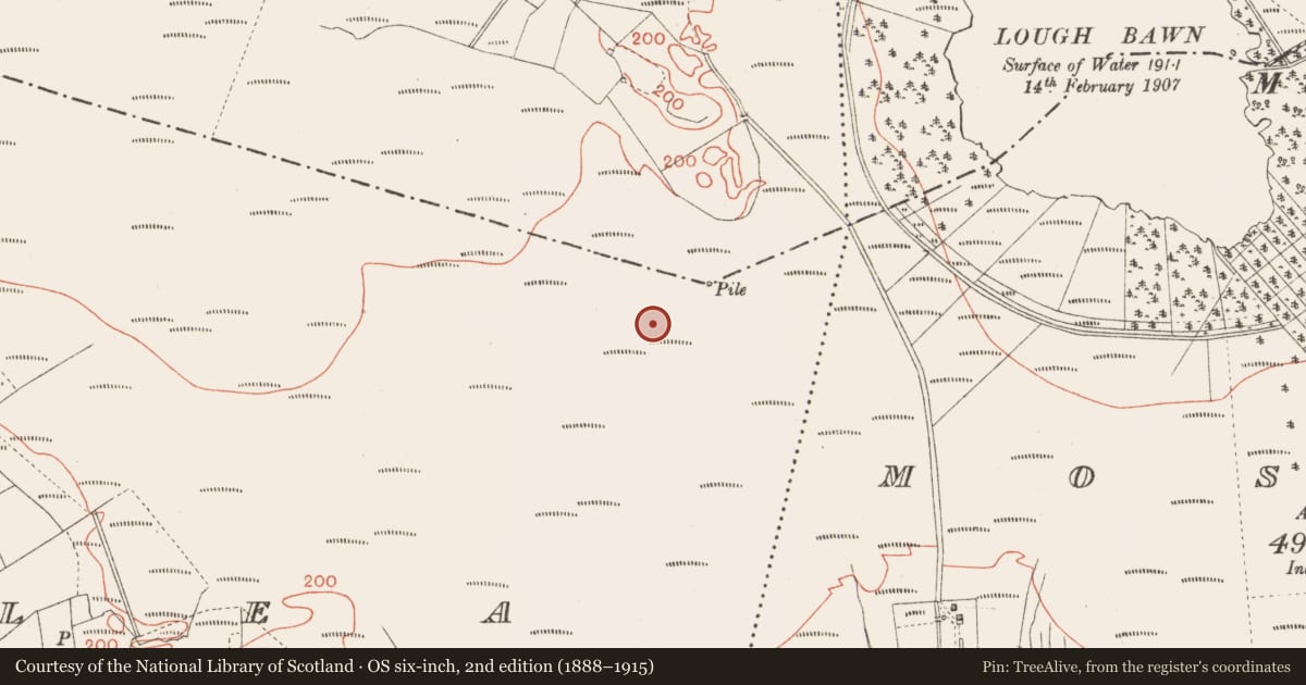 Ordnance Survey six-inch map, 2nd edition (1888–1915) covering the location of Road - class 3 togher, Corlea, County Longford, with a pin at the register's coordinates