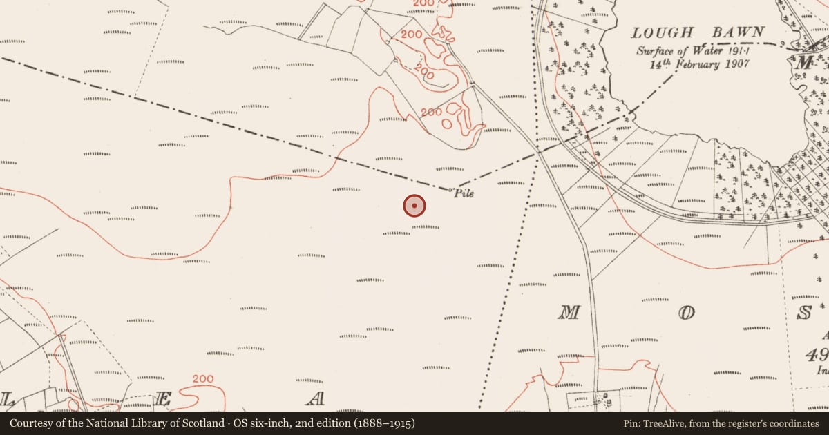 Ordnance Survey six-inch map, 2nd edition (1888–1915) covering the location of Road - class 3 togher, Corlea, County Longford, with a pin at the register's coordinates