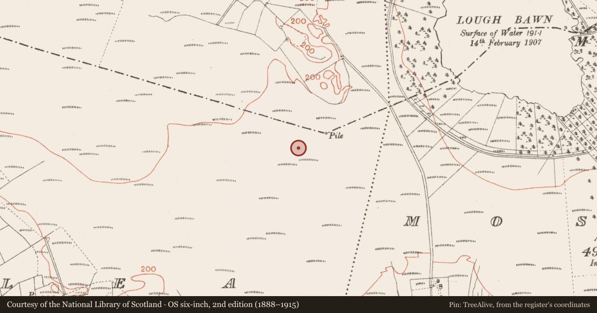 Ordnance Survey six-inch map, 2nd edition (1888–1915) covering the location of Road - class 3 togher, Corlea, County Longford, with a pin at the register's coordinates