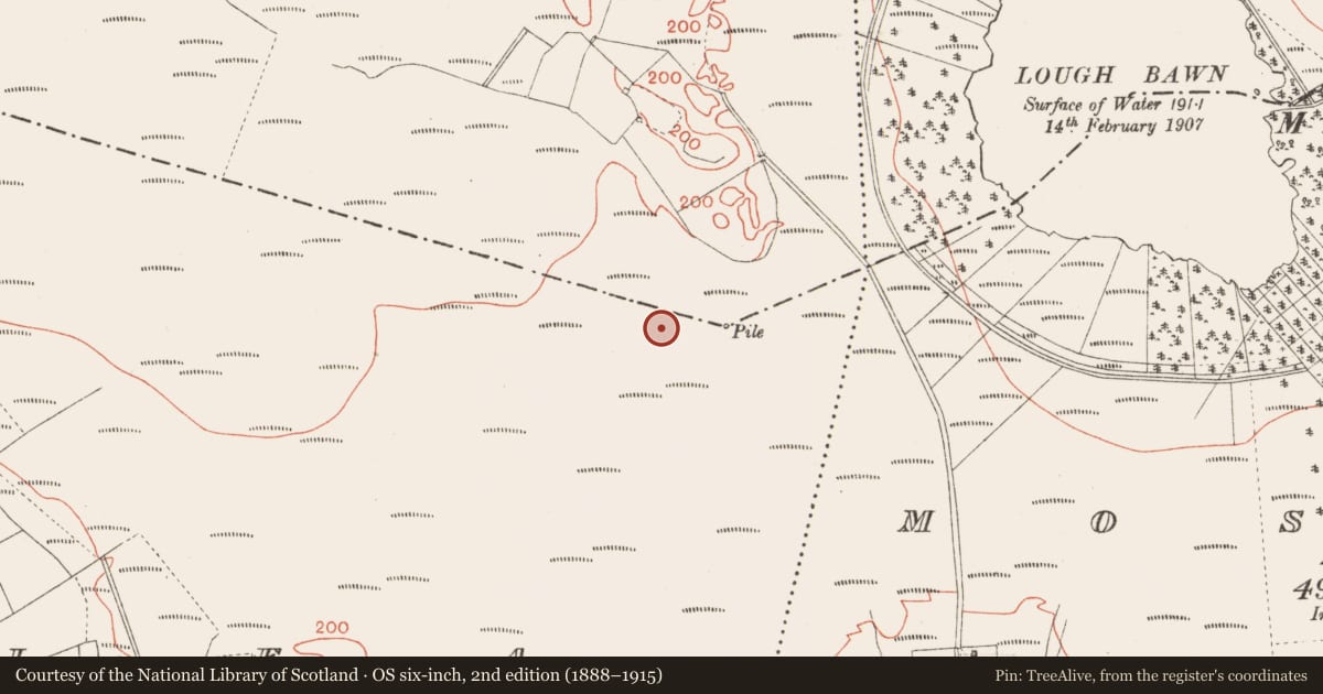 Ordnance Survey six-inch map, 2nd edition (1888–1915) covering the location of Road - class 3 togher, Corlea, County Longford, with a pin at the register's coordinates