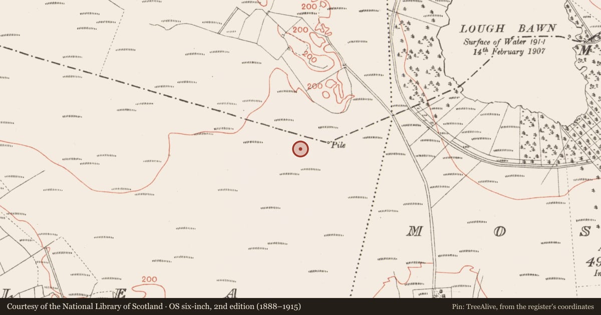 Ordnance Survey six-inch map, 2nd edition (1888–1915) covering the location of Road - class 3 togher, Corlea, County Longford, with a pin at the register's coordinates