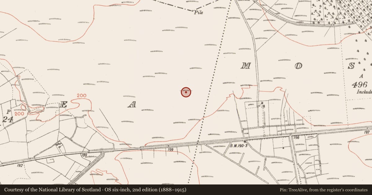 Ordnance Survey six-inch map, 2nd edition (1888–1915) covering the location of Road - class 3 togher, Corlea, County Longford, with a pin at the register's coordinates